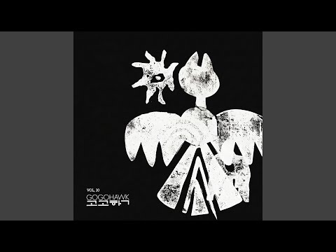 Gogohawk - The Cause