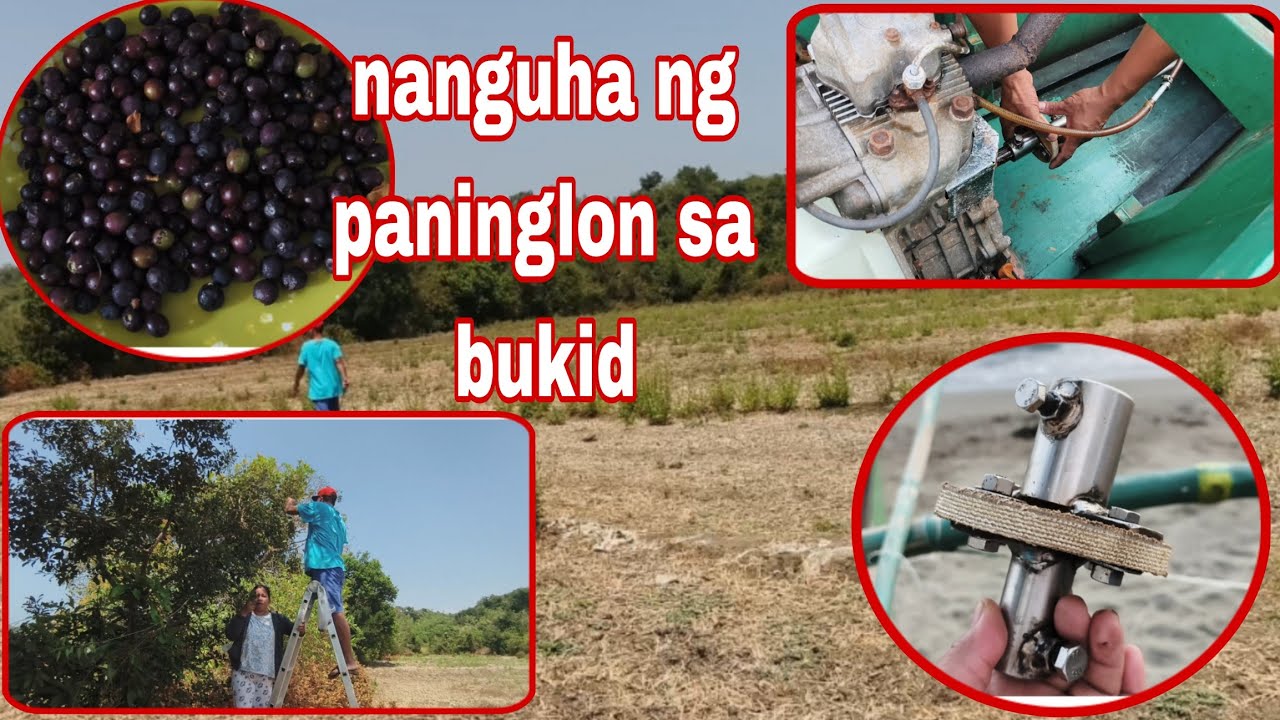 NANGUHA NG PANINGLON SA BUKID | TINAKID NA NI TITO DEO ANG CROSS JOINT SA BANGKA