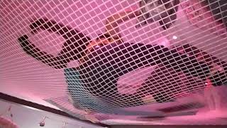 Filet Dhabitation Loftnets