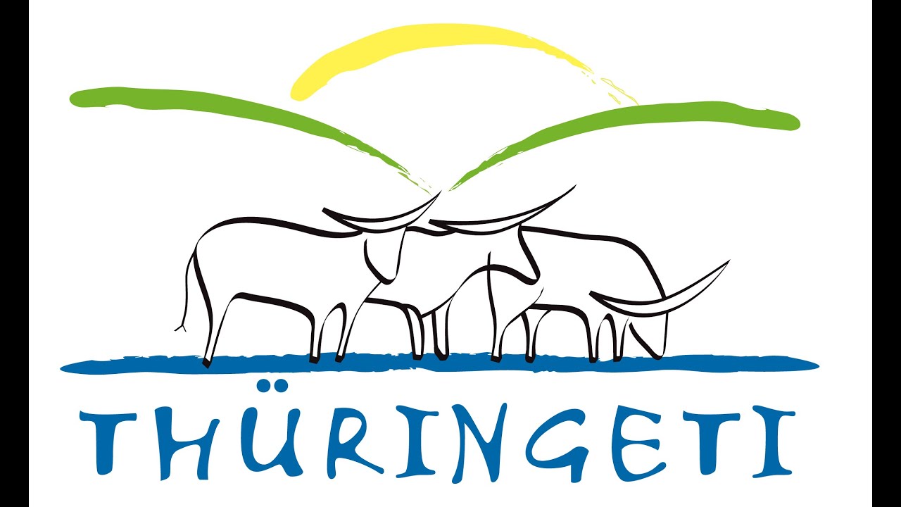 Thüringeti Auktion 2021 Stuten