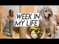 WEEK IN MY LIFE | healthy grocery haul, puppy loving, cooking new meals, chill week!