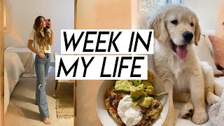 WEEK IN MY LIFE | healthy grocery haul, puppy loving, cooking new meals, chill week!