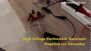 High Voltage Electrostatic Generator