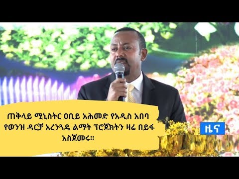 ቪዲዮ: ኮንክሪት እና አረንጓዴ