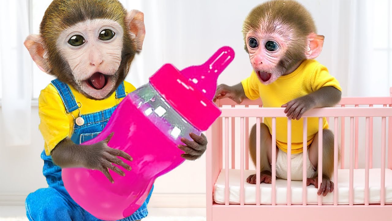 Monyet Dodo Lucu mengajak Bonbon jalan dan mencoba mesin minuman