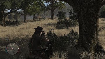 My first random encounter in RDR1 lol