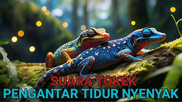 Cận Cảnh Rõ Nét Con Tắc Kè - Hình Ảnh Và Tiếng Tắc Kè Kêu - Picture And Sound Of Tokay Gecko #24