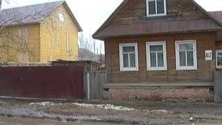 Случай бешенства зарегистрирован в Грязовецком районе Случай бешенства зарегистрирован в Грязовецком районе
