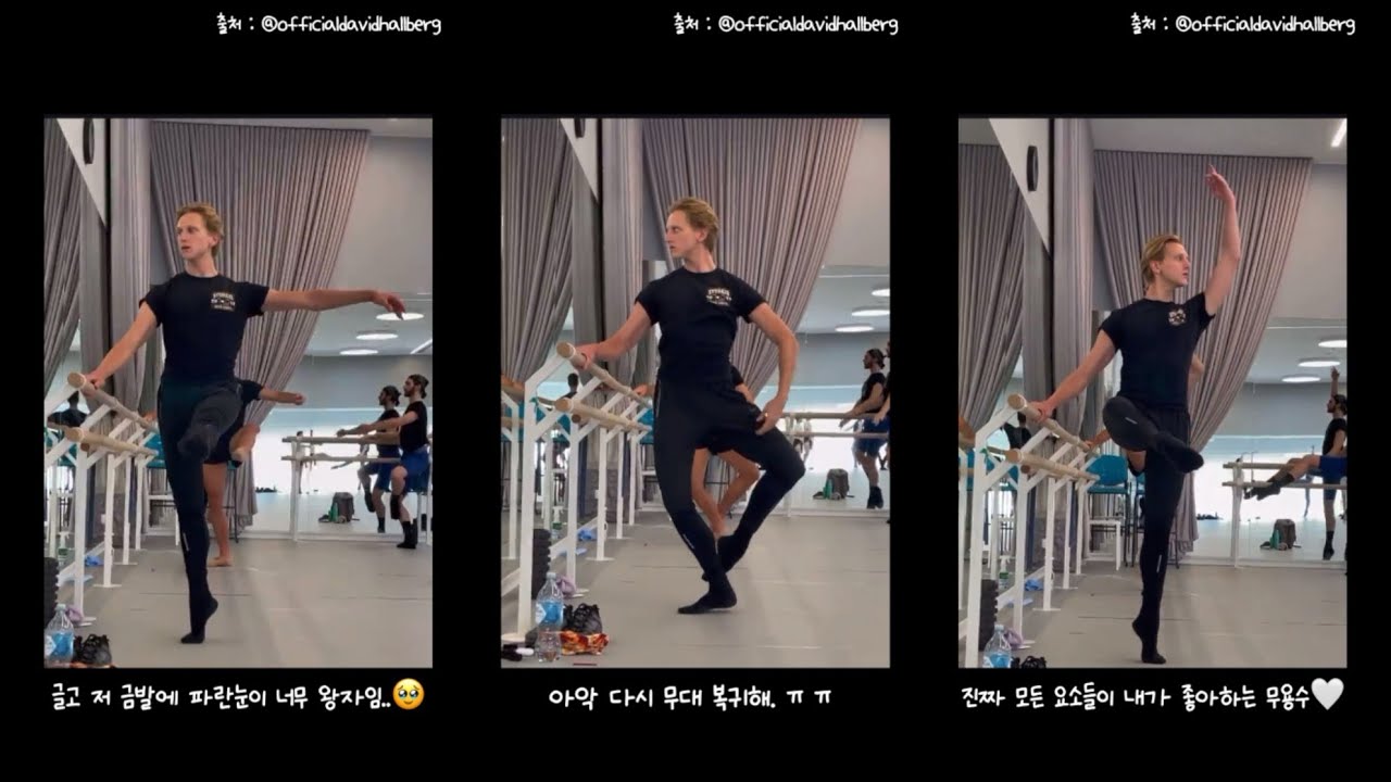 예술감독이 단원들 사이에 껴서 클라스 하는 영상이 너무 좋아요 (주어: David Hallberg)