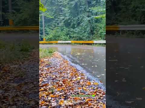 کاشکی یه بارون بزنه