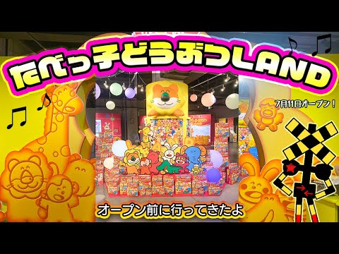 フミくん 🤍Fumi🤍 (@fmk8639) • Instagram photos and videos