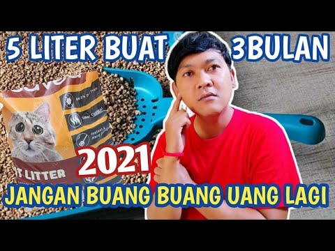 Video: Mengapa Kucing Tidak Menggunakan Kotak Pasir?