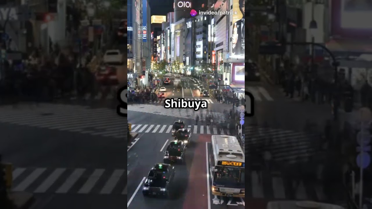 Why You Need to Visit Tokyo Now!