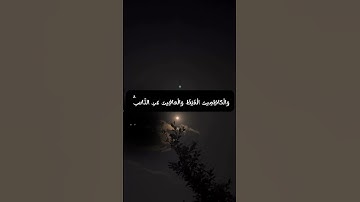 #quran #القرآن_الكريم #اكسبلور #explore #shortvideo #سورة_آل_عمران #خالد_القحطاني #راحة_نفسية