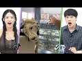 Is This Heaven Koreans Are Shocked By The Dazzling Lives Of The Dubai Rich Asopo Is This Heaven Koreans Are Shocked By The Dazzling Lives Of The Dubai Rich Asopo