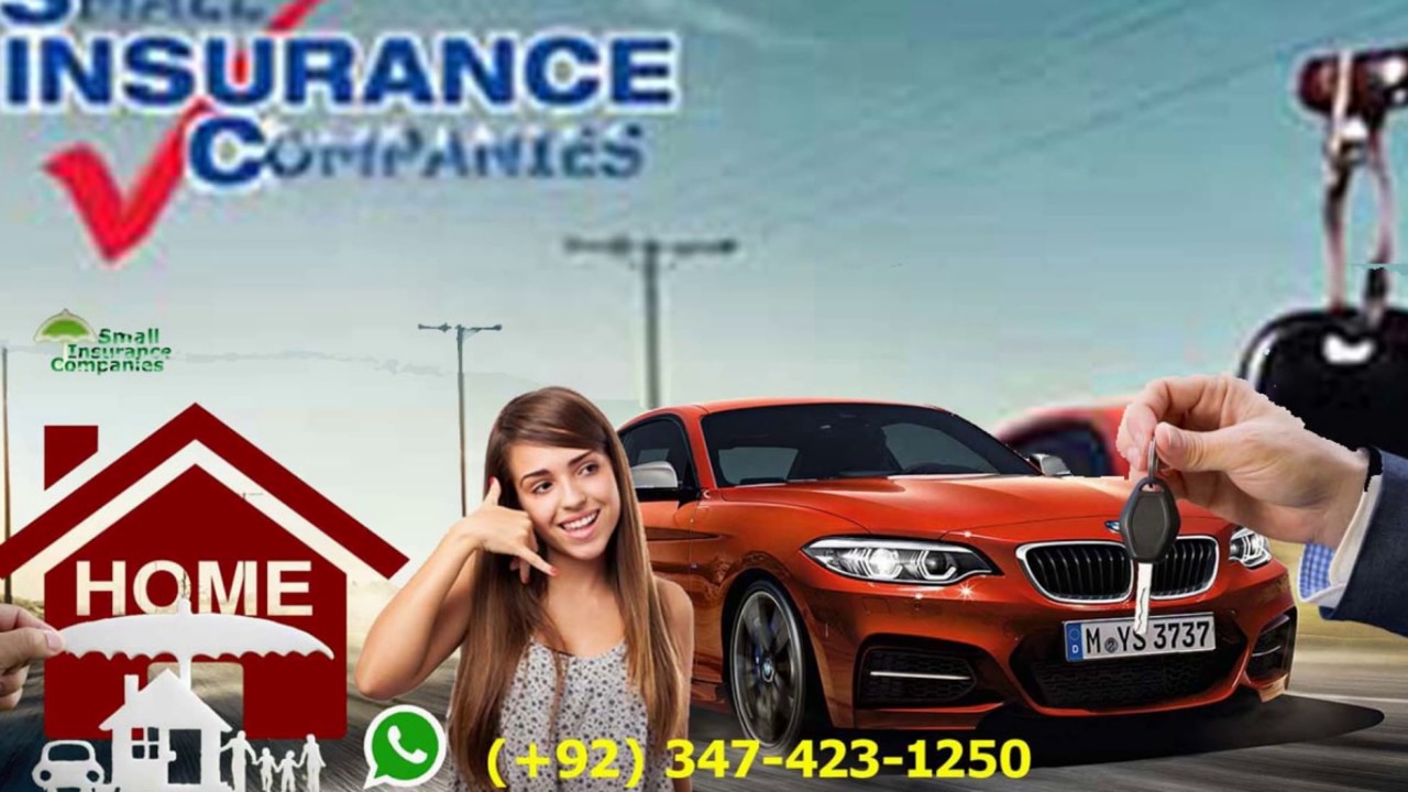 Insurance Web Developer for Small Insurance Companies