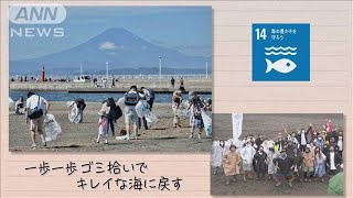 【SDGs】一歩一歩　ゴミ拾いでキレイな海に戻す／Seeds of happiness（2021/9/4）