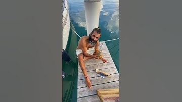 How to Get a Conch Out of It