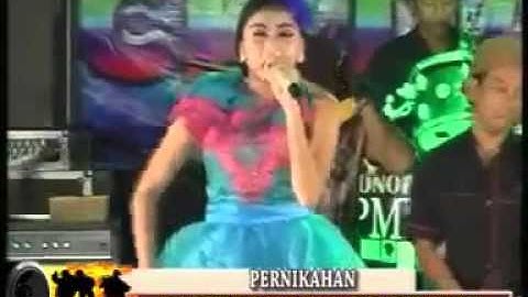 Dangdut Jamaika   Elsa Safira    Dangdut Koplo New Bintang Yenila Terbaru 2015 2016