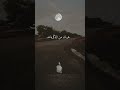 تصاميم وائل جسار صرت جرح وماشي على الطرقات