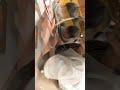 うちの猫はちょっと変です【猫と赤ちゃん】