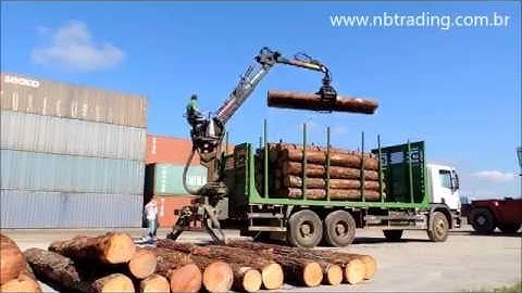 Pine logs taeda with bark | Unloading | NBTRADING