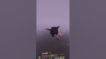 Worlds Most Blocks Mined *HARDCORE*