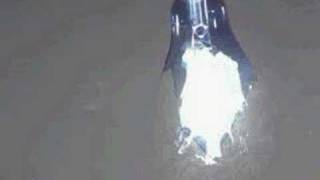 Celebrity highspeed exploding light bulb Net Worth