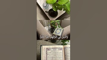 الشيخ ياسر الدوسري #قران_كريم #قرآن #تلاوة_خاشعة #تلاوات