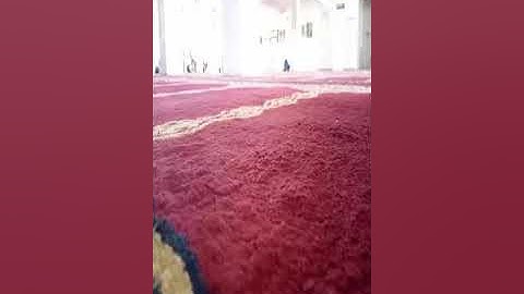 ما تيسر من سورة الرحمان بصوت الشيخ اسامة حبو