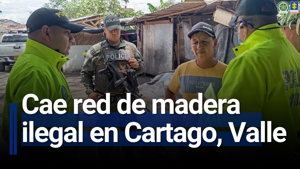 Capturados por comercializar madera ilegal en Cartago, Valle del Cauca