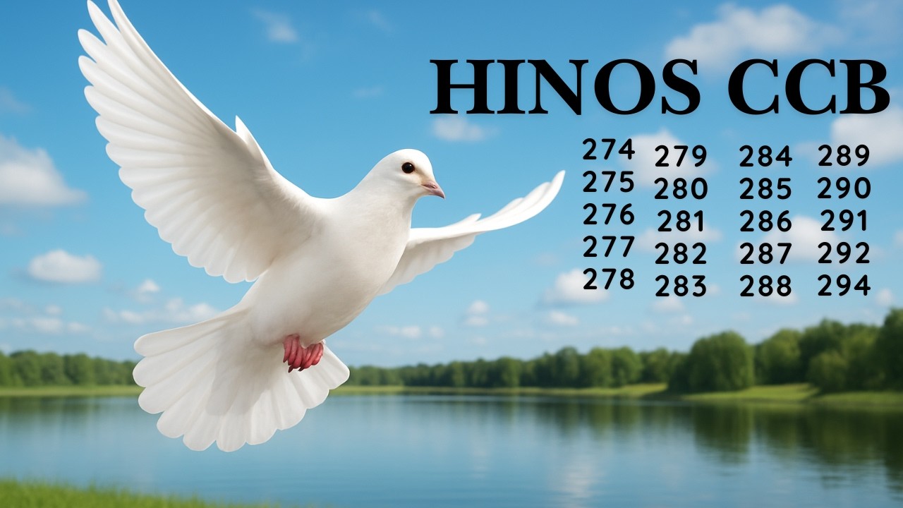 HINOS CCB - 81 | 274 275 276 277 278 279 280 281 282 283 284 285 286 287 288 289 290 291 292 294