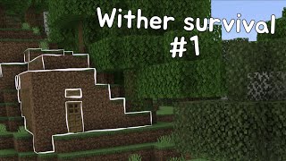 Minecraft, but the wither is taking over the world! Minecraft survival walkthrough #1