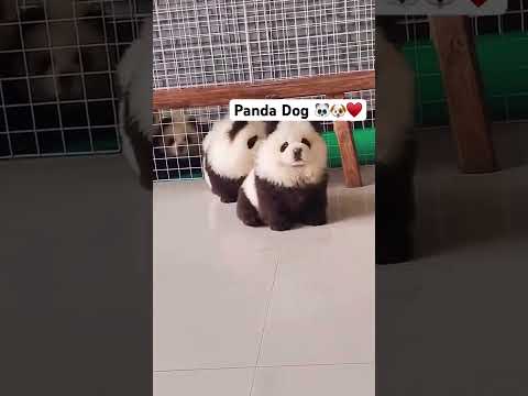 Wait For it