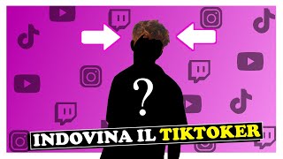 Indovina i TIKTOKER dai CAPELLI 👱🏻‍♀️ screenshot 5