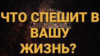 💥Чего ожидать?Точный цыганский расклад на Червовую Даму❤ГАДАНИЕ на игральных картах на будущее👍|18+