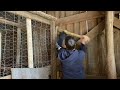 Homesteading Animal Security & Tough Lessons Learned