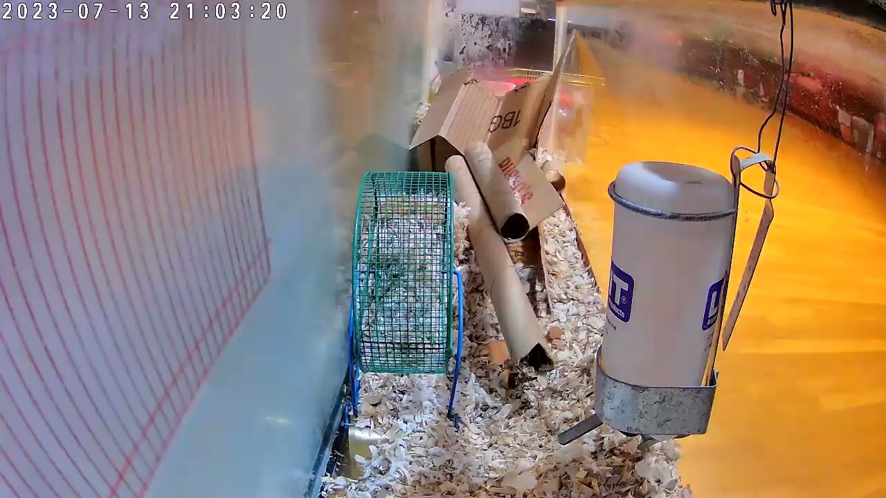 20230713 202038 tp00006