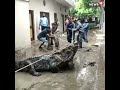 Gigantic crocodile sweeps into residential area during rains in uttar pradesh  viralviral