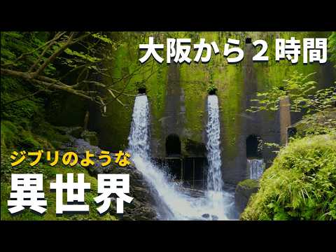 【関西•神秘】大阪から車で2時間「ジブリのような4つの異世界」苔の巨大壁が泣いている・・・