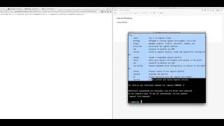Professional Tutorials   Setting up Wordpress 4 1 and up Using Vagrant, Virtual Box and More