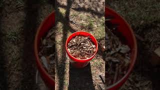 General Update - Compost, Temperature Circuit and Compost Spreader