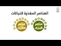 تعرف على العناصر الكبرى والصغرى التي يحتاجها النبات