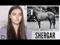 WHO STOLE SHERGAR? | MIDWEEK MYSTERY