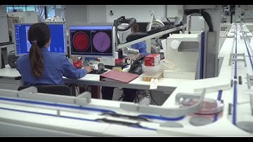 Laboratory Automation at Barnes-Jewish Hospital