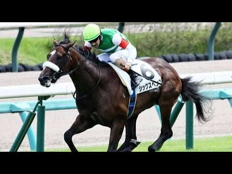 2歳新馬　芝1600m (右 外 B) 　シックスペンス　牡2　55.0　Ｃ.ルメール　2023.9.10　　出走馬：アタラヨ、オーヴァーザトップ、アンドローゼス、ジェネレイティブ、トモジャシャトー他