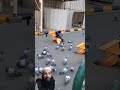 الفرح بحمام مكة وفاجئتهم الحمام اول وآخر اللقطة لقطة لا تكرر حمام المسجد الحرام الكعبة المشرفة الفرح بحمام مكة وفاجئتهم الحمام اول وآخر اللقطة لقطة لا تكرر حمام المسجد الحرام الكعبة المشرفة