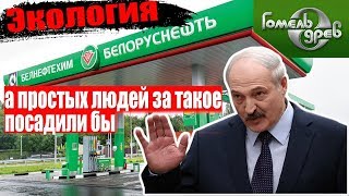 Лукашенко Белоруснефть и Гомельдрев  шкодничают/Общество Гомель