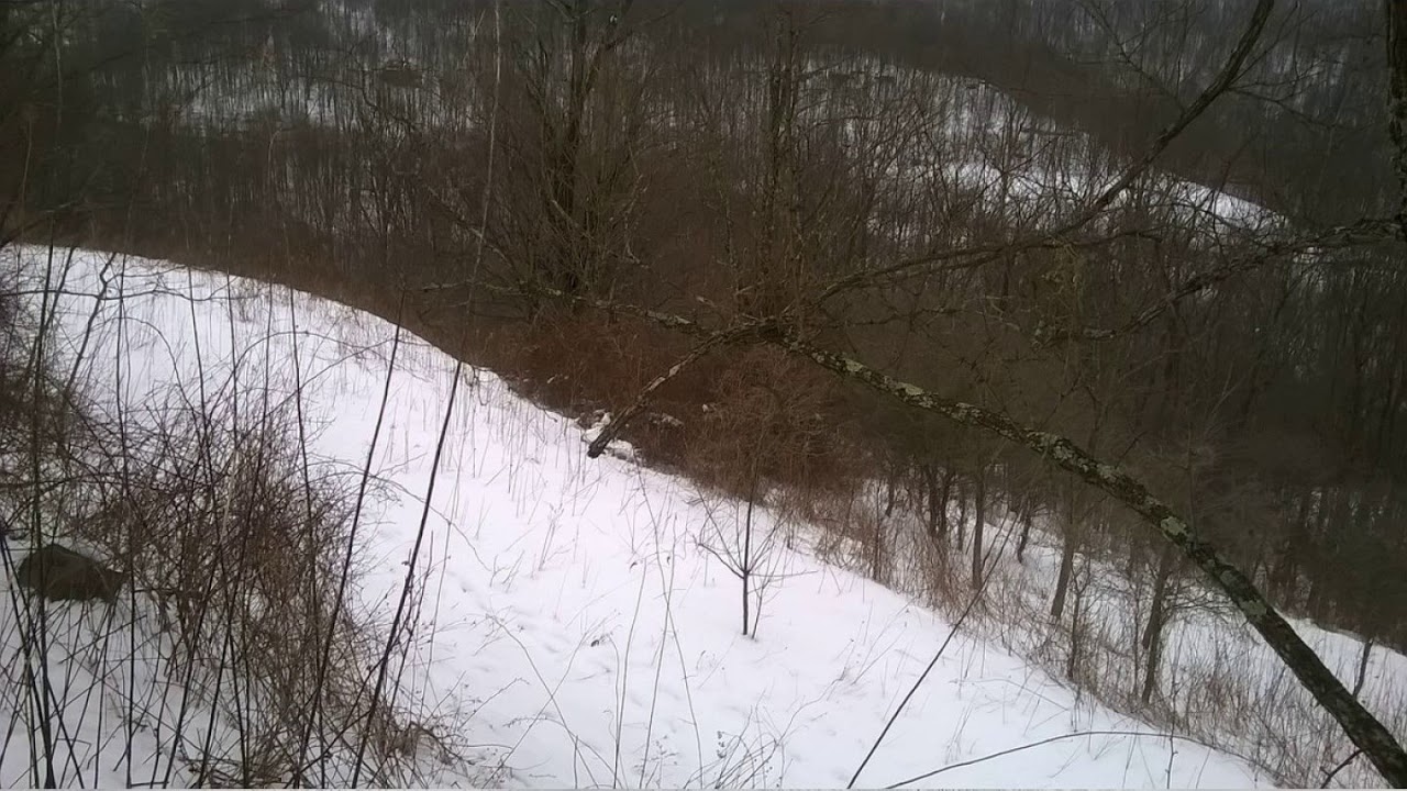 Real Estate For Sale Slatyfork, WV 21900 YouTube