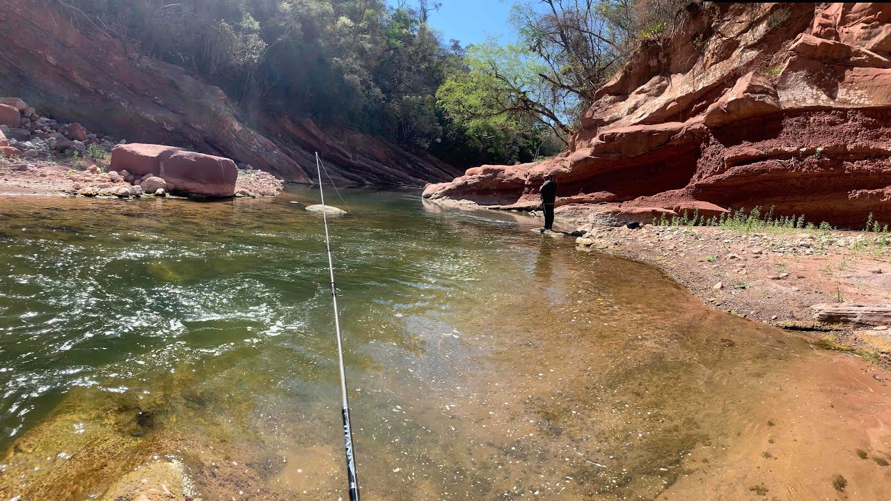 Pesca De Dorados - Rio Del Valle - Salta Argentina 🎣🤩🔥 Baitcasting